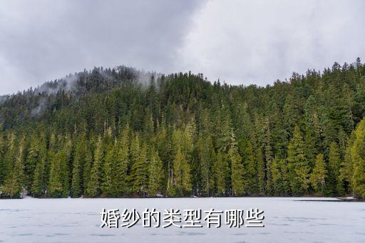 婚紗的類型有哪些