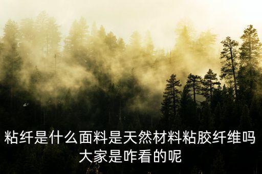 粘纖是什么面料是天然材料粘膠纖維嗎大家是咋看的呢