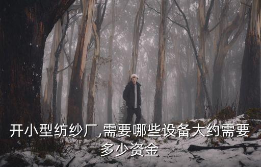 開小型紡紗廠,需要哪些設(shè)備大約需要多少資金