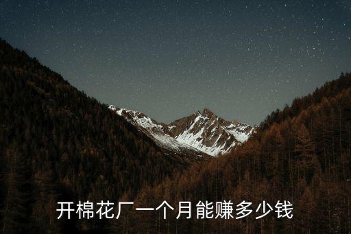 開棉花廠一個(gè)月能賺多少錢