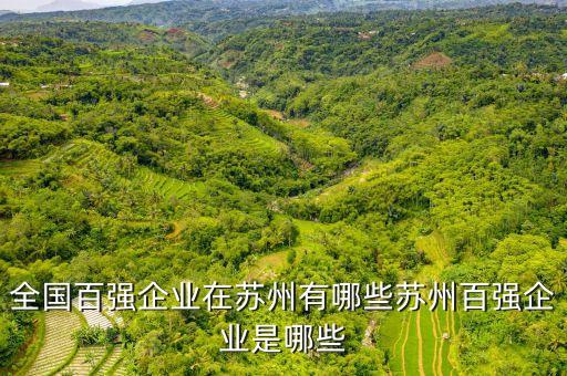 全國(guó)百?gòu)?qiáng)企業(yè)在蘇州有哪些蘇州百?gòu)?qiáng)企業(yè)是哪些