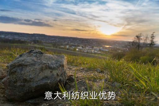  意大利紡織業(yè)優(yōu)勢(shì)