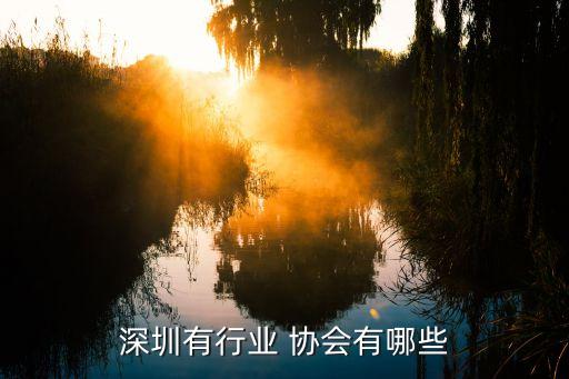 深圳有行業(yè) 協(xié)會有哪些