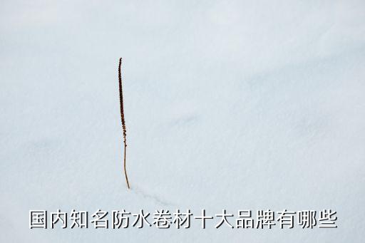 國內(nèi)知名防水卷材十大品牌有哪些