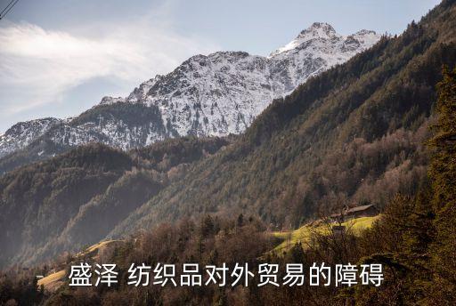 盛澤 紡織品對外貿(mào)易的障礙