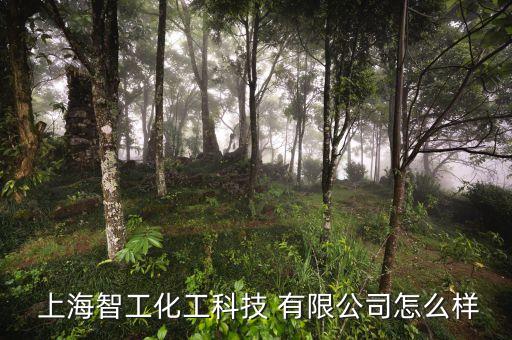 上海紡織助劑有限公司,天津工大紡織助劑有限公司