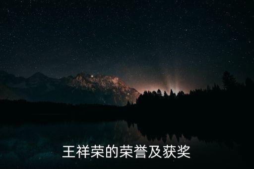 王祥榮的榮譽(yù)及獲獎(jiǎng)