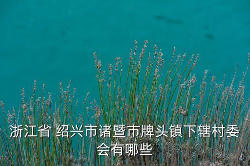 浙江省 紹興市諸暨市牌頭鎮(zhèn)下轄村委會有哪些