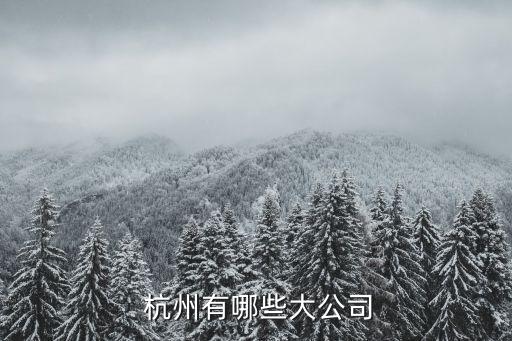 杭州蕭山興達(dá)布業(yè)織造有限公司,蕭山興達(dá)市政工程有限公司