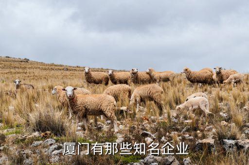  廈門有那些知名企業(yè)