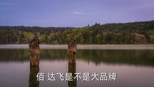 佰 達(dá)飛是不是大品牌