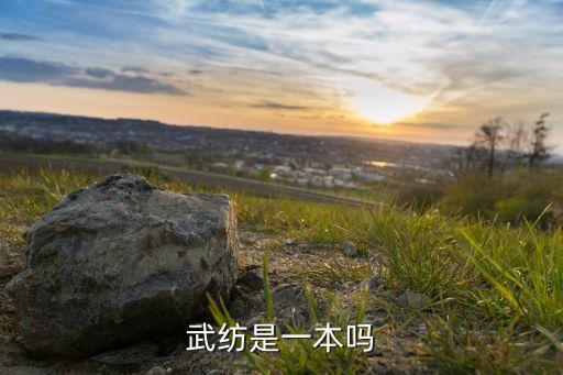 武紡是一本嗎