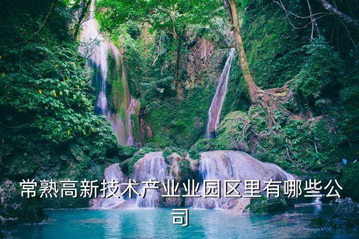  常熟高新技術產(chǎn)業(yè)業(yè)園區(qū)里有哪些公司