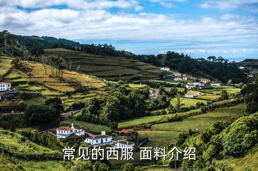 常見的西服 面料介紹