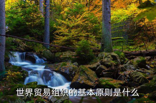 世界貿(mào)易組織的基本原則是什么