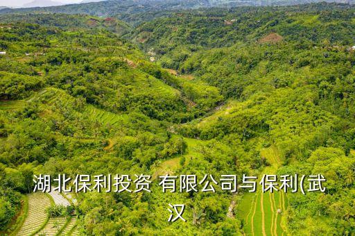 湖北福百鑫實業(yè)發(fā)展股份有限公司