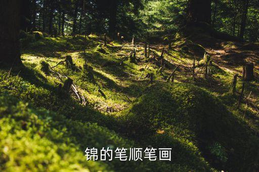 錦的筆順筆畫