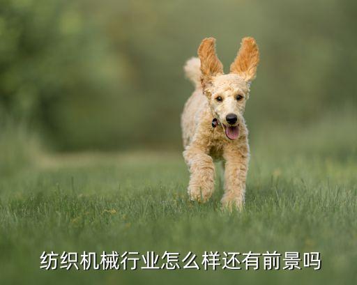 紡織印染行業(yè)發(fā)展前景