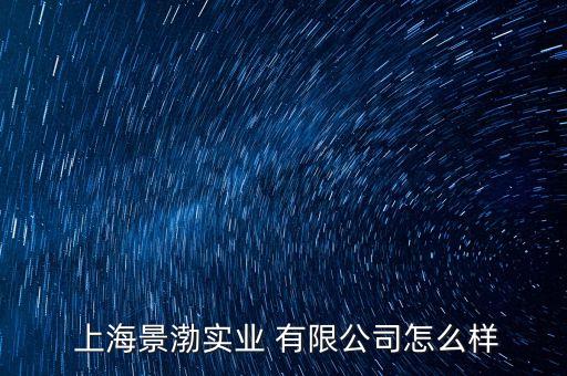  上海景渤實業(yè) 有限公司怎么樣