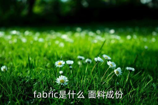 網(wǎng)眼布面料成分,珠地網(wǎng)眼布是什么面料