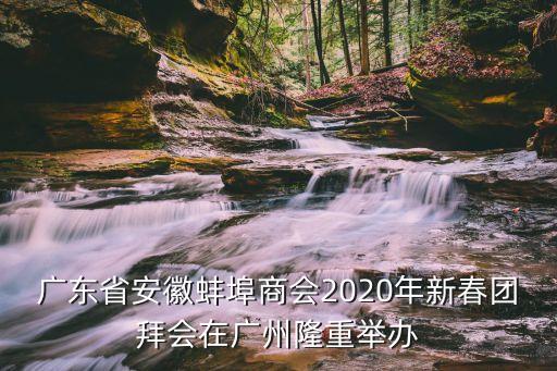廣東省安徽蚌埠商會2020年新春團(tuán)拜會在廣州隆重舉辦
