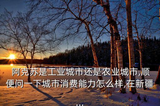  阿克蘇是工業(yè)城市還是農(nóng)業(yè)城市,順便問一下城市消費能力怎么樣,在新疆...