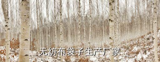 無紡布袋子生產(chǎn)廠家
