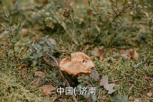中國(guó)( 濟(jì)南