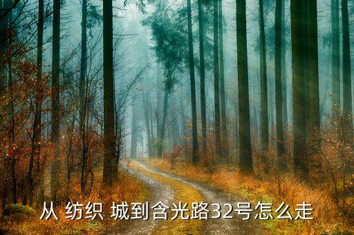 從 紡織 城到含光路32號怎么走