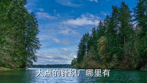 泉州天宇化纖織造實(shí)業(yè)有限公司,晉江市錦興化纖織造實(shí)業(yè)有限公司