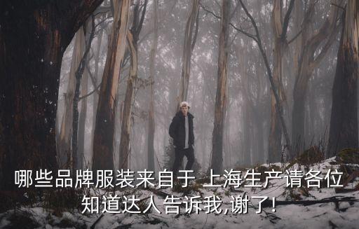哪些品牌服裝來自于 上海生產(chǎn)請各位知道達(dá)人告訴我,謝了!