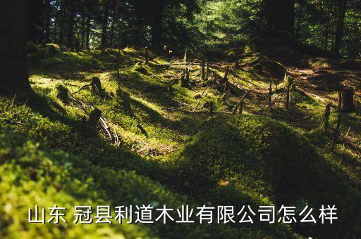  山東 冠縣利道木業(yè)有限公司怎么樣