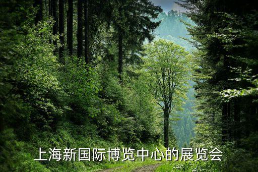 上海新國(guó)際博覽中心的展覽會(huì)