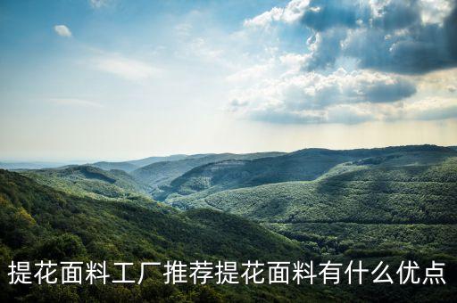 提花面料工廠推薦提花面料有什么優(yōu)點