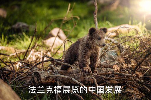 法蘭克福展覽的中國發(fā)展