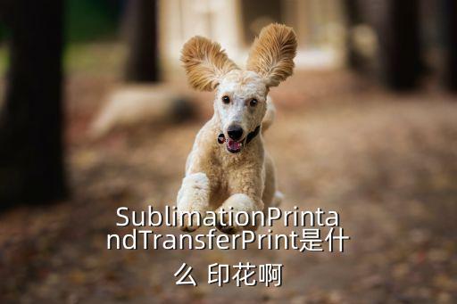 SublimationPrintandTransferPrint是什么 印花啊