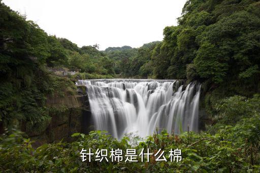  針織棉是什么棉