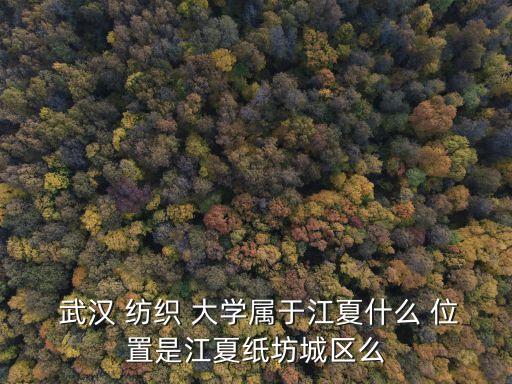  武漢 紡織 大學(xué)屬于江夏什么 位置是江夏紙坊城區(qū)么