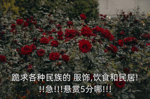 跪求各種民族的 服飾,飲食和民居!!!急!!!懸賞5分哪!!!