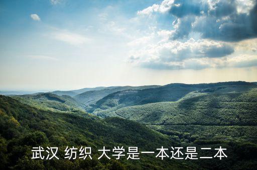  武漢 紡織 大學(xué)是一本還是二本