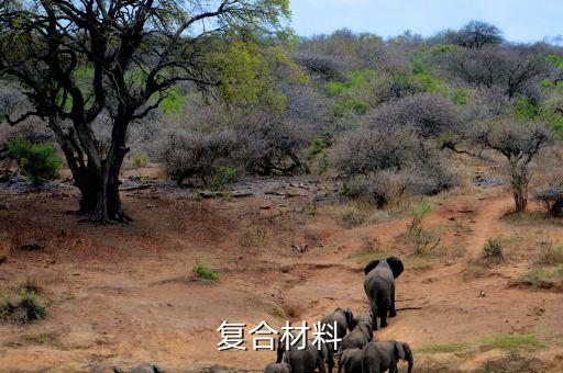 三維紡織技術,三維數(shù)字化技術