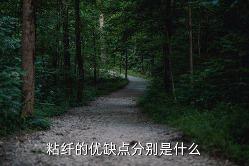 粘纖的優(yōu)缺點(diǎn)分別是什么