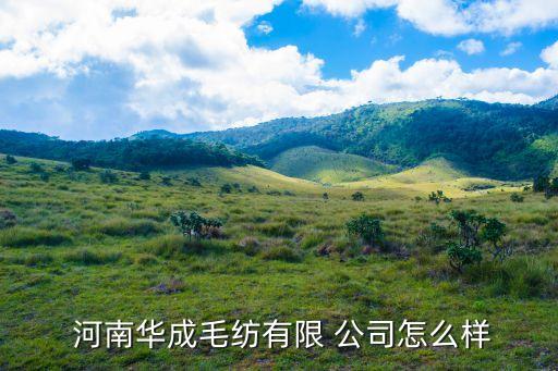 河南名牌紡織公司,河南盈信紡織公司元工