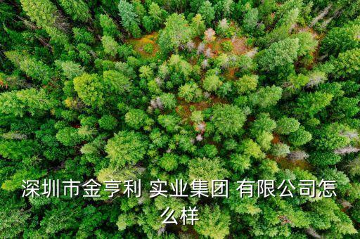 深圳市金亨利 實(shí)業(yè)集團(tuán) 有限公司怎么樣