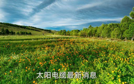 太陽電纜最新消息