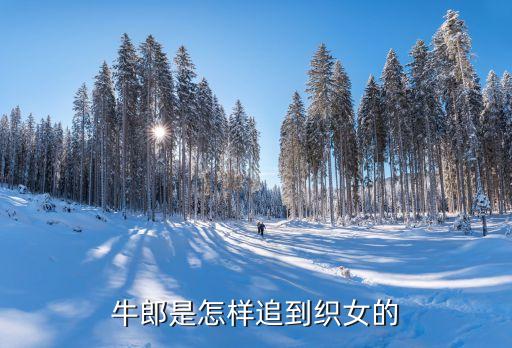 天衣紡織有限公司,溫州天衣精密工具有限公司