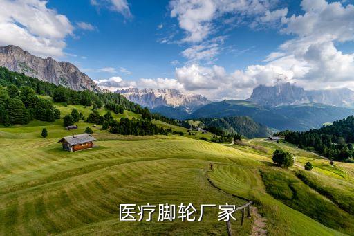 醫(yī)療腳輪廠家