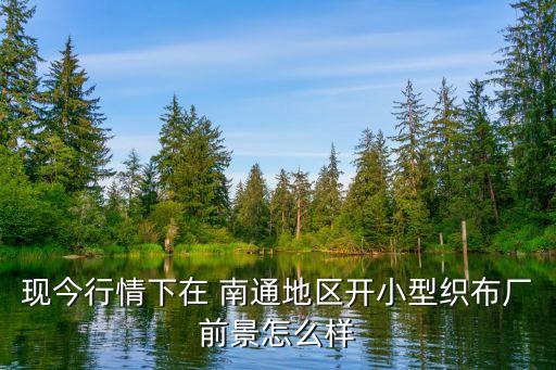 現(xiàn)今行情下在 南通地區(qū)開小型織布廠前景怎么樣