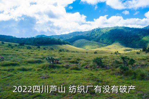 2022四川蘆山 紡織廠有沒有破產