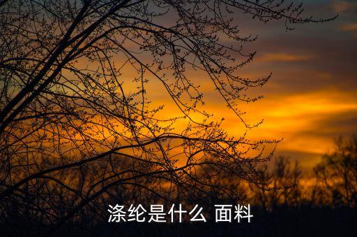  滌綸是什么 面料